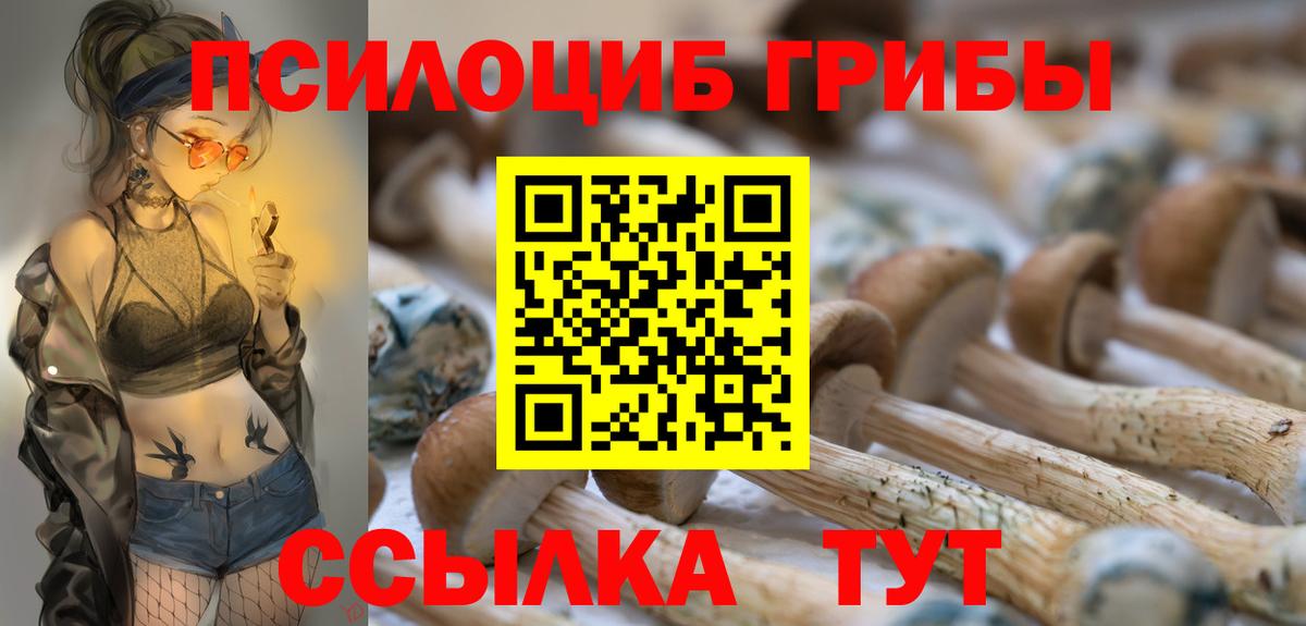 Галлюциногенные грибы GOLDEN TEACHER  Псилоцибиновые грибы GOLDEN TEACHER  Вход с VPN  Алапаевск 